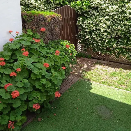 Apartment - Playa - Estudio Al Lado Del Mar Estepona