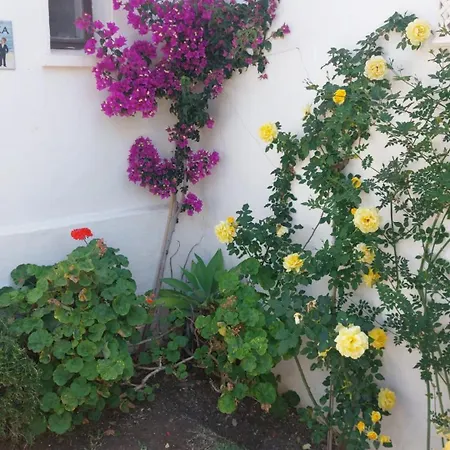 Apartament - Playa - Estudio Al Lado Del Mar Jo18 *